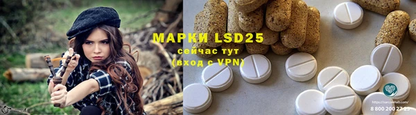 тгк Горнозаводск