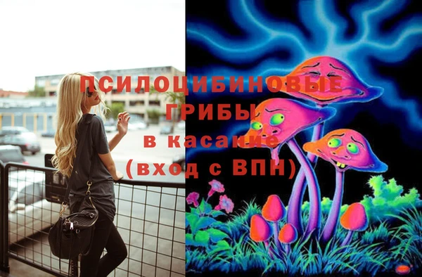 марки nbome Горняк