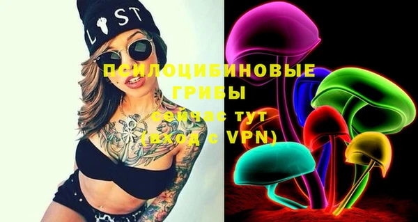 марки nbome Горняк