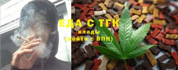 тгк Горнозаводск
